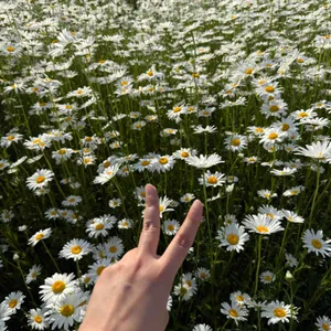 카페 지새울 리뷰 사진