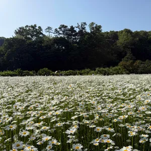 카페 지새울 리뷰 사진