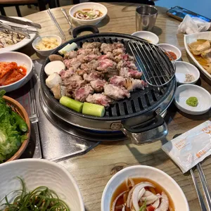 금관꽃돼지 대표 사진
