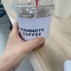 매머드 익스프레스 리뷰 사진