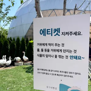 물구리빵집 리뷰 사진