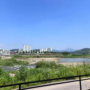 물구리빵집 리뷰 사진