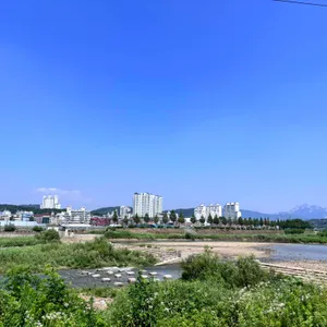물구리빵집 리뷰 사진