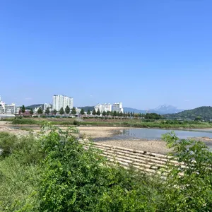 물구리빵집 리뷰 사진