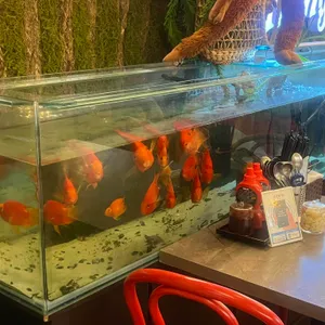 Pho Hang 리뷰 사진