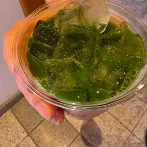 테라로사 사진
