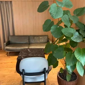 레망도레 리뷰 사진