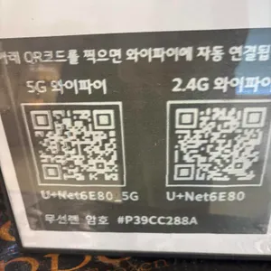 온숲 리뷰 사진