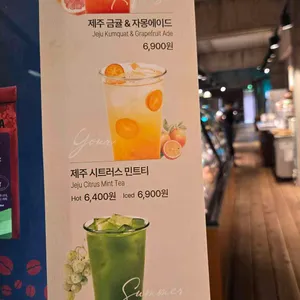 테라로사 사진