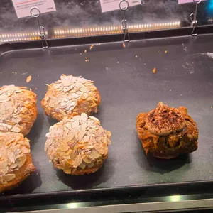 테라로사 사진
