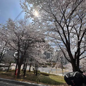 카페브릭 리뷰 사진