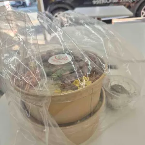 샐러드앤가든 사진