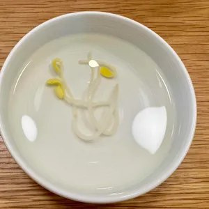 고코 대표 사진