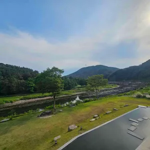 콘크리트정글 대표 사진