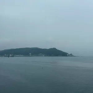 카페 숲 대표 사진