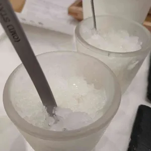 수수하지만굉장해 대표 사진