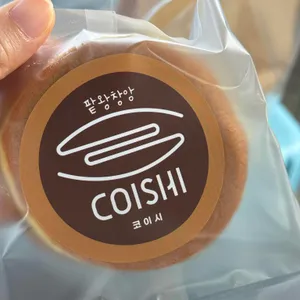 코이시 사진