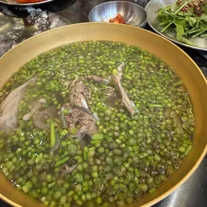 능동미나리 사진