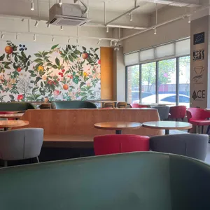 파스쿠찌 대표 사진