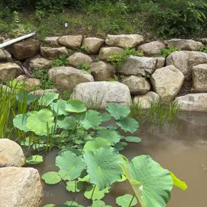 카페 먹 리뷰 사진