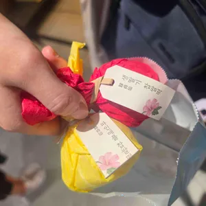 한정선 녹 사진