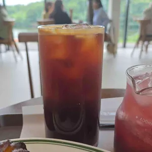 온숲 대표 사진