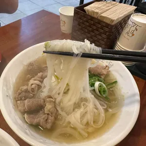 포담 사진