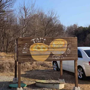 시모네 대표 사진