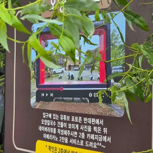 오양손칼국수 리뷰 사진