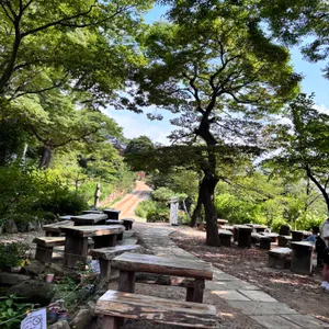 전등사 카페 죽림다원 리뷰 사진