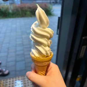 공돈 대표 사진