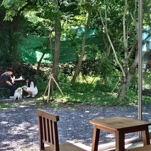 나와산 대표 사진