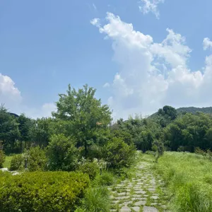 소올투베이커리 리뷰 사진