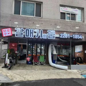 갈매기의꿈 대표 사진