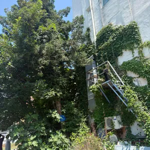 틈 대표 사진