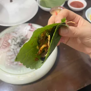 허심탄회 대표 사진