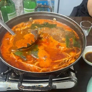허심탄회 사진