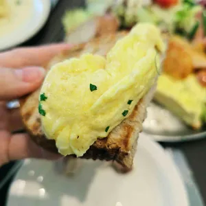 브런치빈 사진