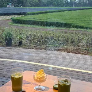수망다원 대표 사진
