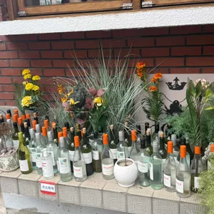 쿠어드꾸뜨 대표 사진