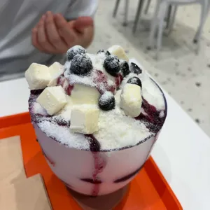 대설 대표 사진
