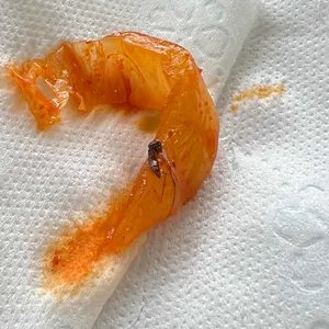 금자탑 사진