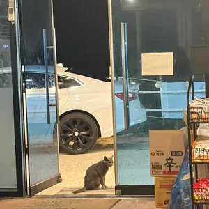 별빛조개포차 리뷰 사진