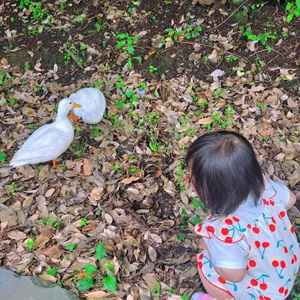 카페 담소요 사진