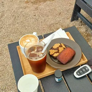 태시트 사진