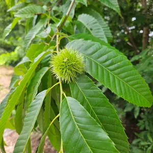 카페 먹 대표 사진