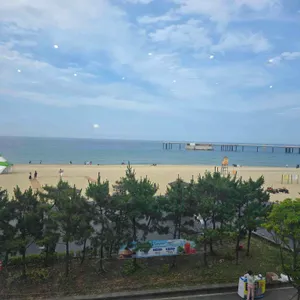 트리고 리뷰 사진