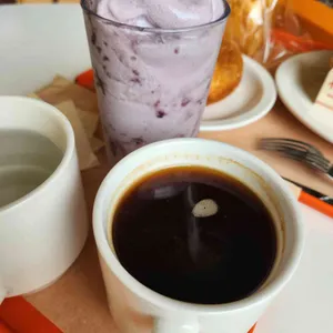 오터스 사진