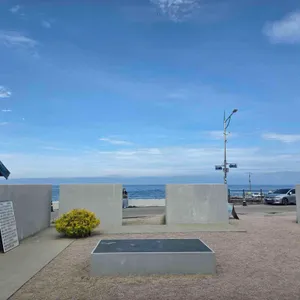 태시트 리뷰 사진