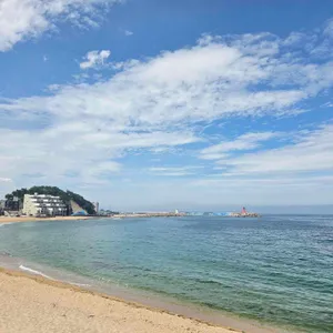 태시트 리뷰 사진